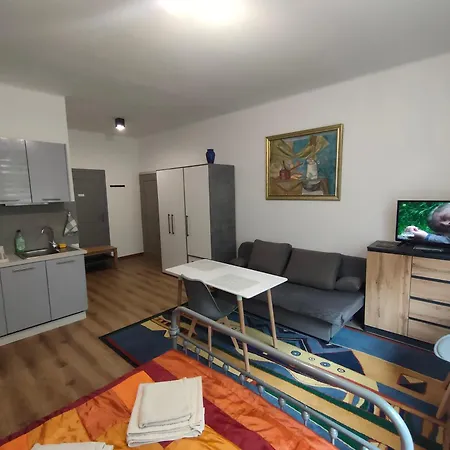 With Kitchenette Apartment